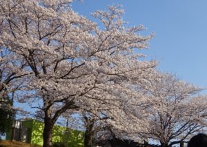 まとめとこれから